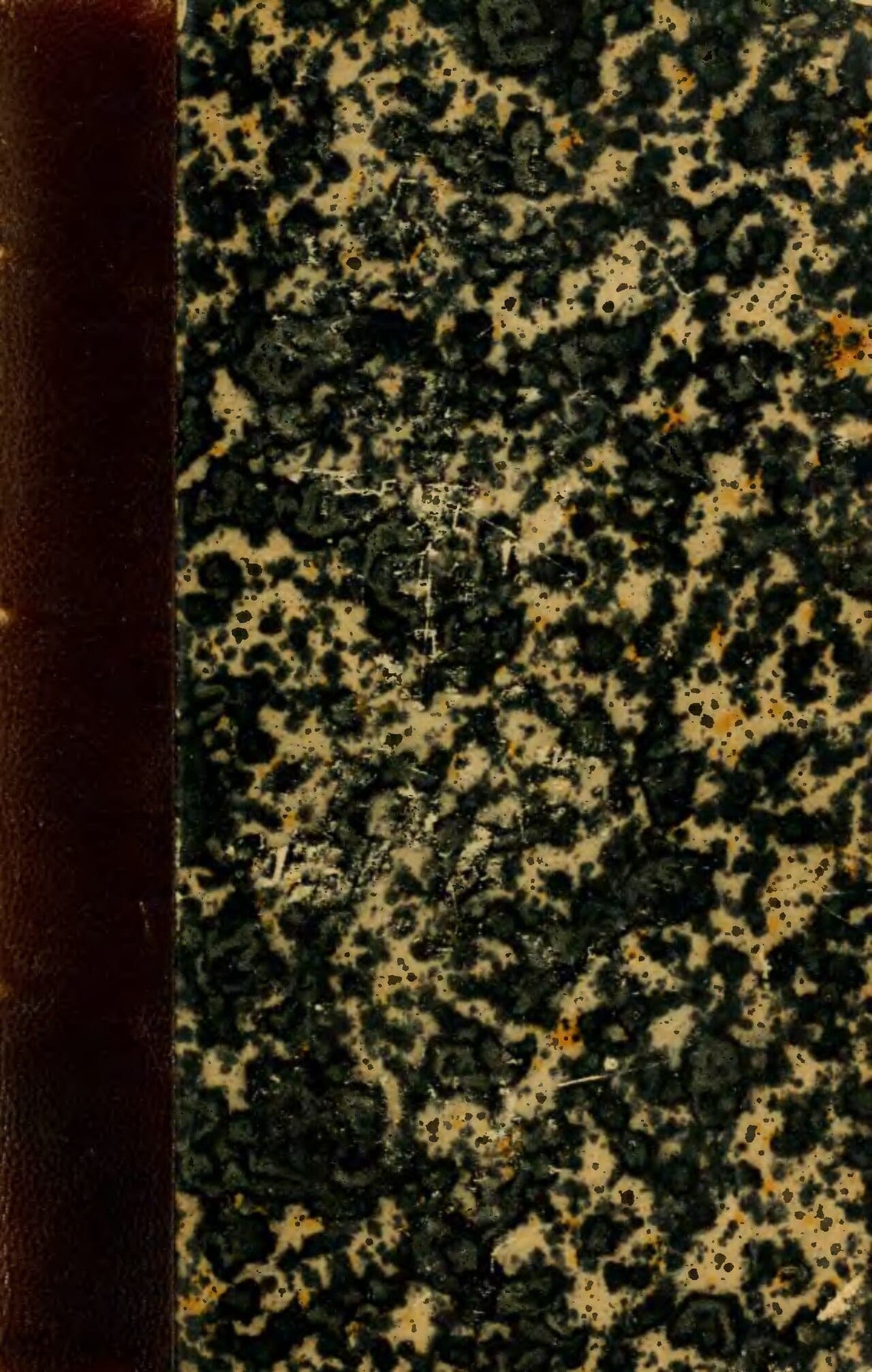 Cibrèo Caffè