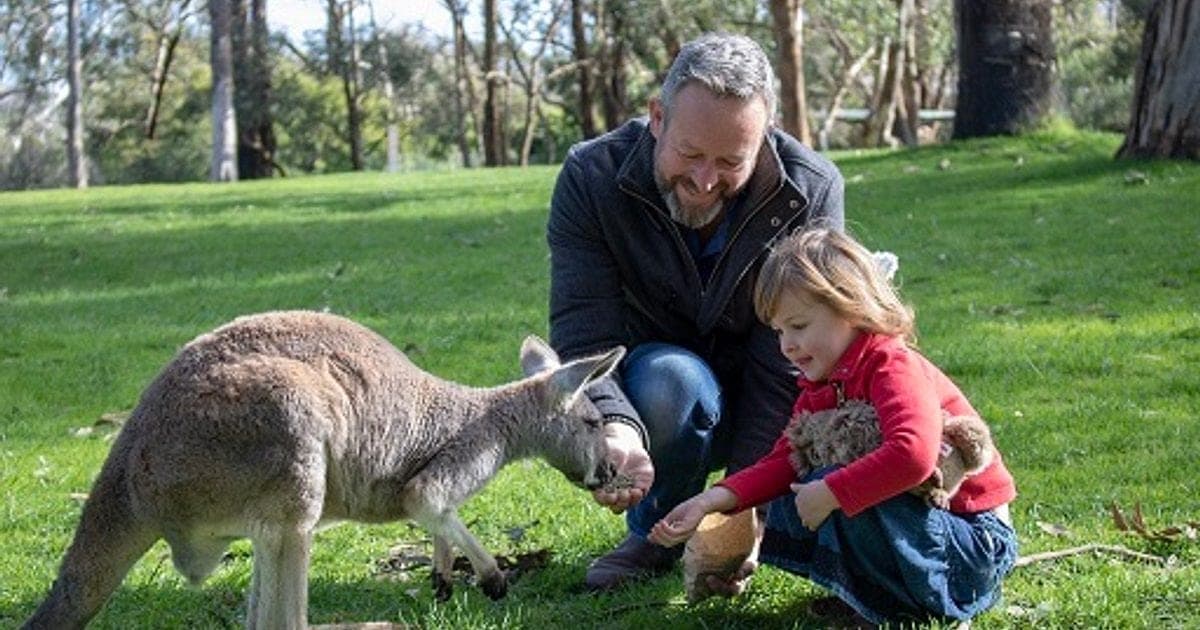 Cleland Wildlife Park
