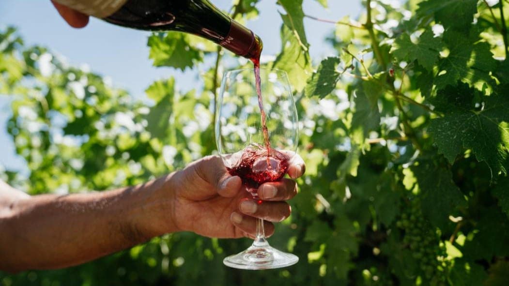 Munda Wines